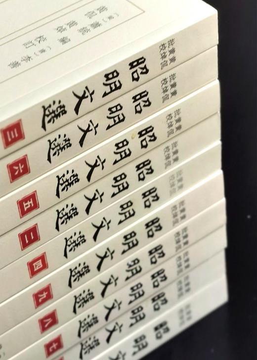 《黄侃黄焯批校昭明文选（平装）》崇文书局 文选学研究 古籍整理 传统文化 (梁)萧统编； (唐)李善注； 黄侃, 黄焯校订 商品图3