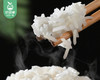 仓鸿严选越南香米/1包（2.5kg）生产日期：26年3月 商品缩略图1