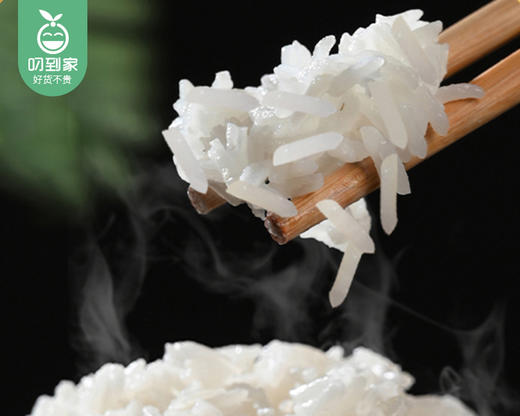仓鸿严选越南香米/1包（2.5kg）生产日期：26年3月 商品图1