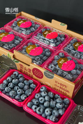 雪山恬蓝莓，当季好蓝莓🫐很甜的口感很大的颗粒，果粉足，🍃营养价值高💯护眼神器