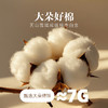 水星家纺纯棉被芯 商品缩略图4