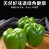 【SF】青椒  【天然好味道 农家自产 现摘新鲜 肉厚口感好】 商品缩略图0