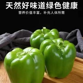 【SF】青椒  【天然好味道 农家自产 现摘新鲜 肉厚口感好】
