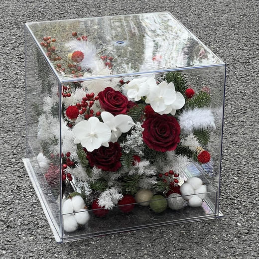 《踏雪寻梅》亚克力透视花盒 商品图3