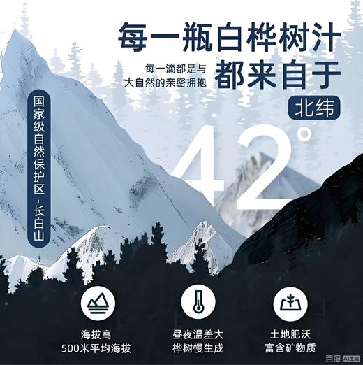 泉阳泉长白山320ml*6瓶开盖即饮0脂肪植物饮料天然白桦树汁100%原液 商品图6