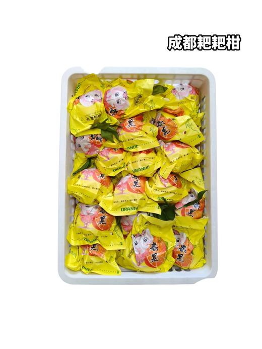 成都耙耙柑  单果5-6两左右 商品图0