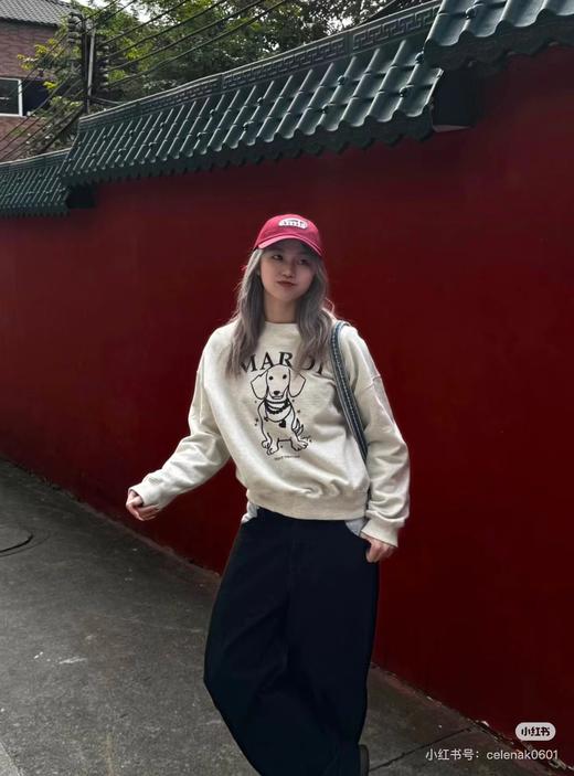 D122147正脸珍珠小狗卫衣女韩版腊肠狗圆领上衣 商品图7