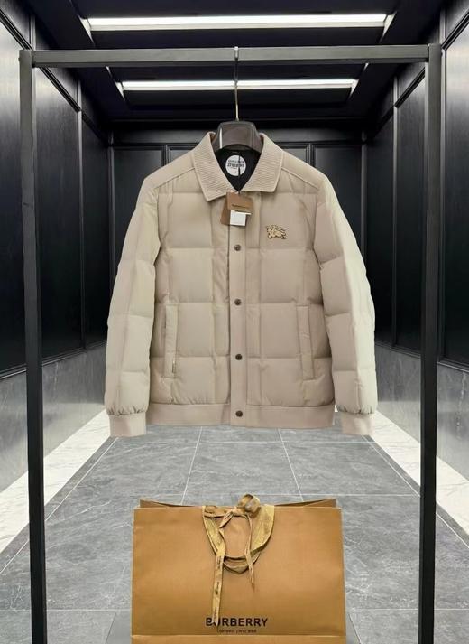 D122155轻盈保暖金标战马蓬松情侣款夹克羽绒服 商品图4