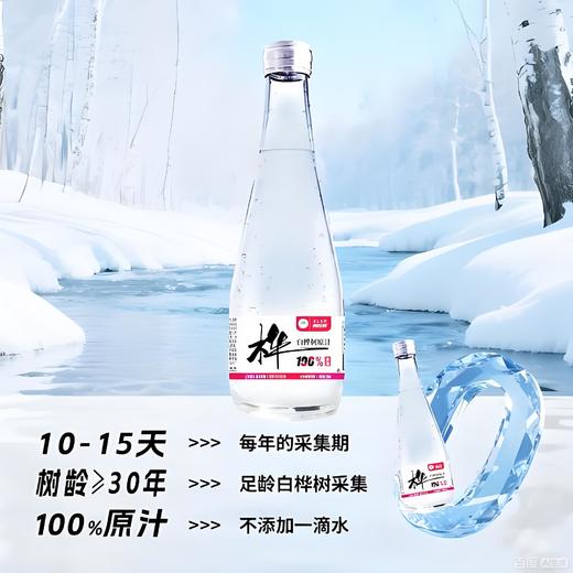 泉阳泉长白山320ml*6瓶开盖即饮0脂肪植物饮料天然白桦树汁100%原液 商品图3