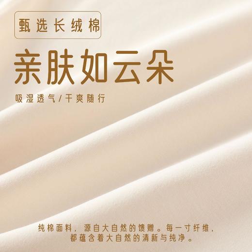 新生婴幼儿莫棉无骨高腰护肚套装男女宝宝四季款家居服分体二件套 商品图3