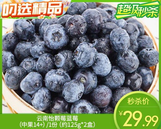 云南怡颗莓蓝莓（中果14+）/1份（约125g*2盒） 商品图0