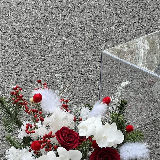 《踏雪寻梅》亚克力透视花盒 商品图7