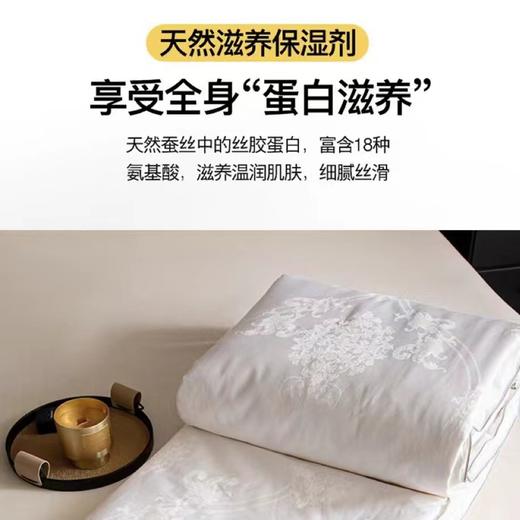 【春上新】10楼 恐龙 雅悦全棉提花桑蚕丝被-春秋/冬被 吊牌价3880-6880元 活动价999-1999元 商品图1