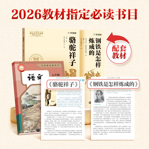学而思【初中名著】2026七八年级下配套26版人教版教材无删减 商品图2