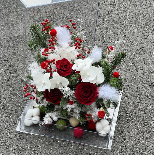 《踏雪寻梅》亚克力透视花盒 商品图6