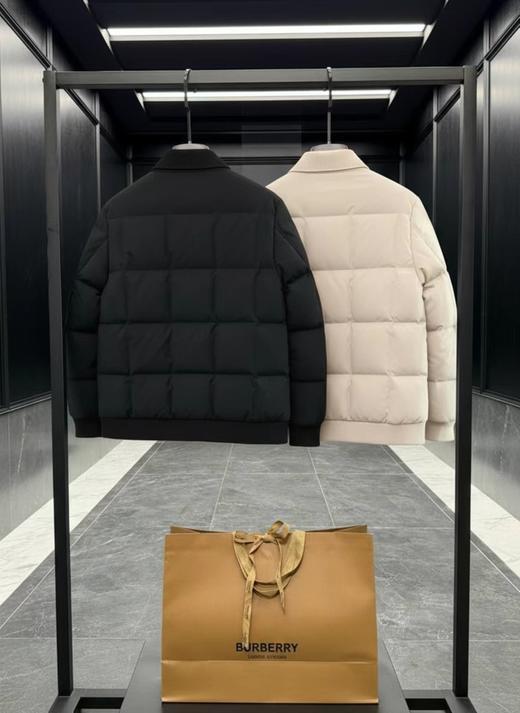 D122155轻盈保暖金标战马蓬松情侣款夹克羽绒服 商品图1