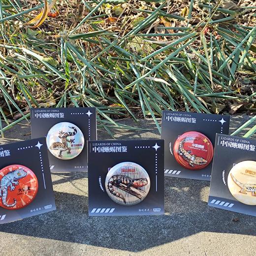 中国蜥蜴主题徽章 爬宠爬虫文创 卡通周边 海峡书局 顽主驿【官方正版 48小时发货】 商品图2