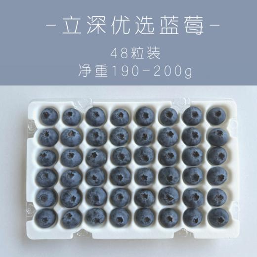 立深优选 蓝莓 商品图4