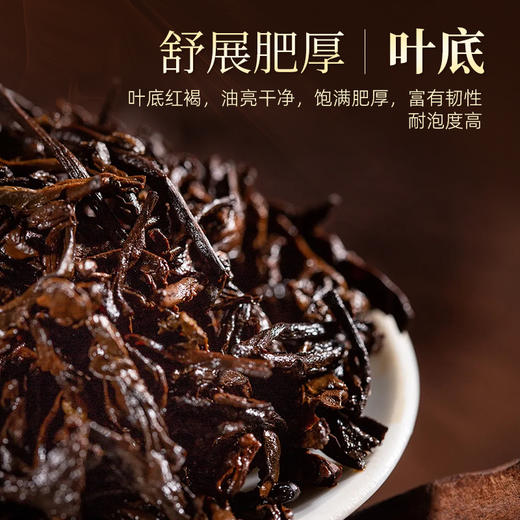 云南茶马世家 品饮级 普洱熟茶357g 商品图3