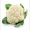 【SF】新鲜菜花 现摘菜花 商品缩略图1