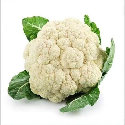 【SF】新鲜菜花 现摘菜花 商品图1