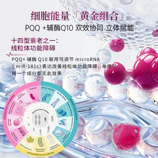 Mama Mujer 新西兰PQQ辅酶Q10线粒体能量弹 线粒体能量养护胶囊 胸闷心慌 长期慢性疲劳 心脏供电 伈基每 30+卵巢细胞抗衰 60粒/瓶 MMMJ 保税仓发货 商品图3