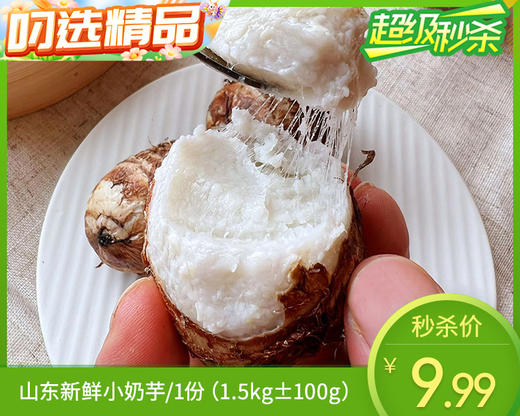山东新鲜小奶芋/1份（1.5kg±100g） 商品图0