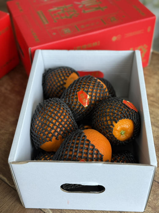 财橙·脐橙的天花板来了 果肉细腻多汁 橙香四溢 原装7斤 商品图1