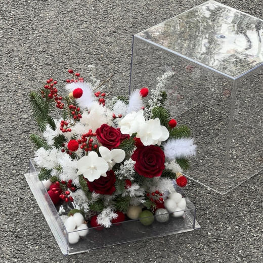 《踏雪寻梅》亚克力透视花盒 商品图2