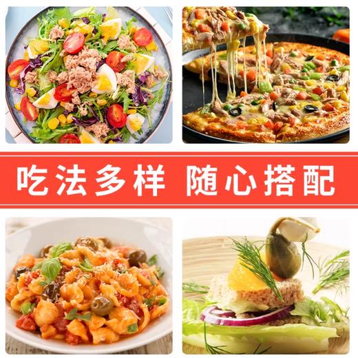 240g/瓶 欧萨刺山柑蕾 （酱腌菜）水瓜榴  西班牙进口西餐小酸豆配料 商品图3