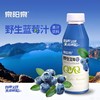 【春季保护视力半价】泉阳泉长白山蓝莓汁饮料420ml*3瓶无菌0防腐含剂花青素 420ml*3 商品缩略图3