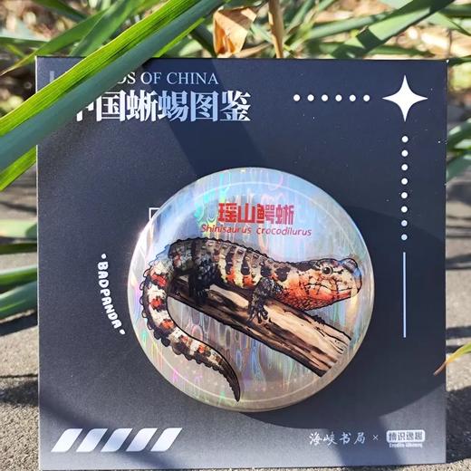 中国蜥蜴主题徽章 爬宠爬虫文创 卡通周边 海峡书局 顽主驿【官方正版 48小时发货】 商品图3