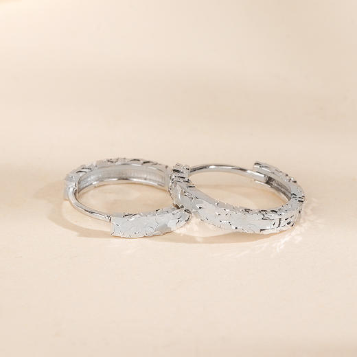 丁摩 s925纯银碎冰冰耳扣轻奢小众爆闪简约高级感耳圈精致龙鳞银耳环女5ZF-12221 商品图5