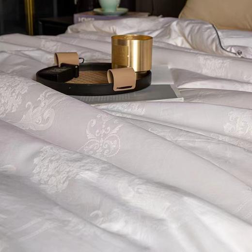 【春上新】10楼 恐龙 雅悦全棉提花桑蚕丝被-春秋/冬被 吊牌价3880-6880元 活动价999-1999元 商品图3