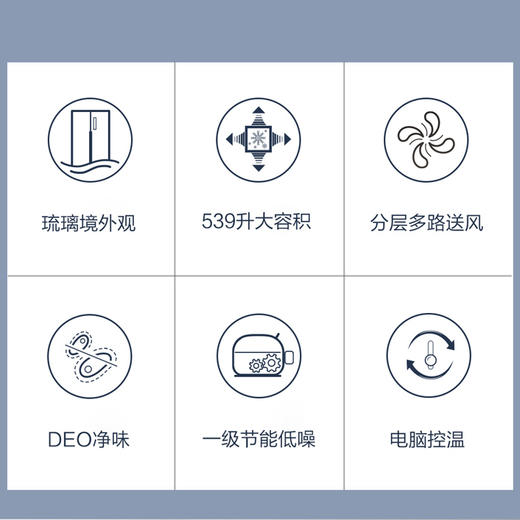 统帅（Leader）冰箱 BCD-539WGLSSEDM1 商品图6