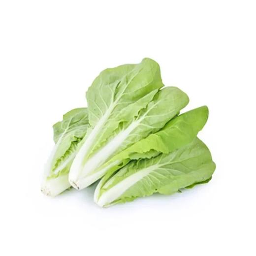 【超市】百盛鲜蔬达 小白菜苗 约350g 商品图0