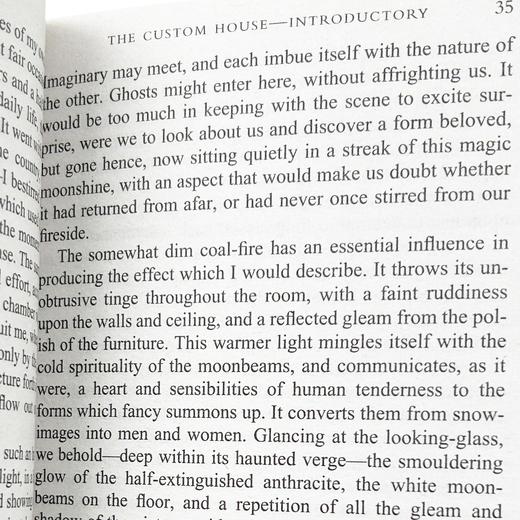 红字 英文原版小说 The Scarlet Letter 美国文学经典名著 诺贝尔文学奖作者霍桑 英文版 进口原版英文书 现货正版书籍 商品图4