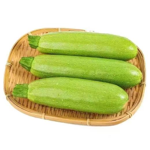 【SF】农家现摘新鲜西葫芦 商品图0