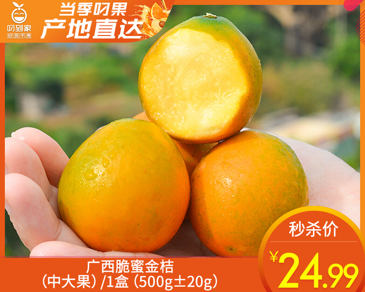 广西脆蜜金桔（中大果）/1盒（500g±20g）