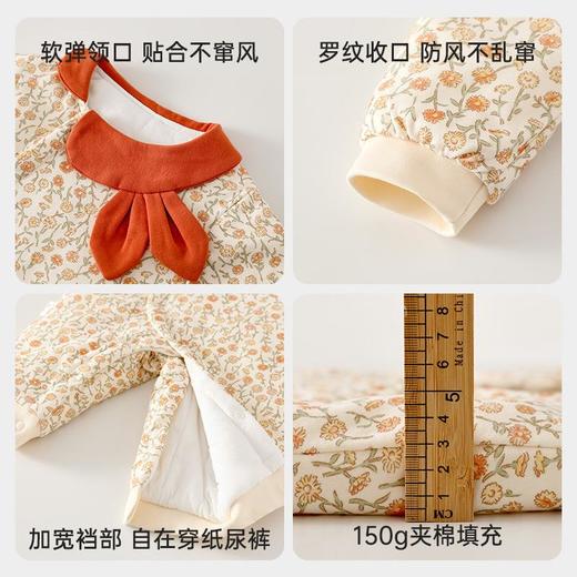 婴儿夹棉连体衣薄款宝宝秋冬季a类加棉爬爬服哈衣外出新生儿棉服 商品图3