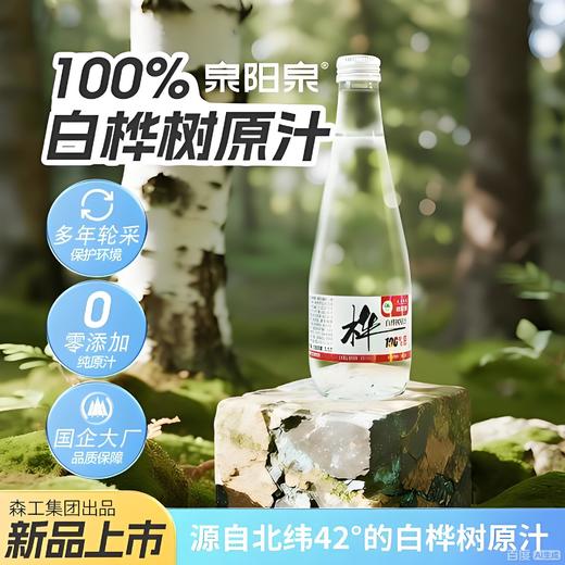 泉阳泉长白山320ml*6瓶开盖即饮0脂肪植物饮料天然白桦树汁100%原液 商品图10