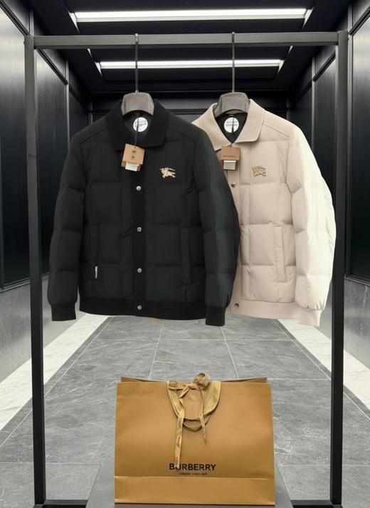 D122155轻盈保暖金标战马蓬松情侣款夹克羽绒服 商品图0