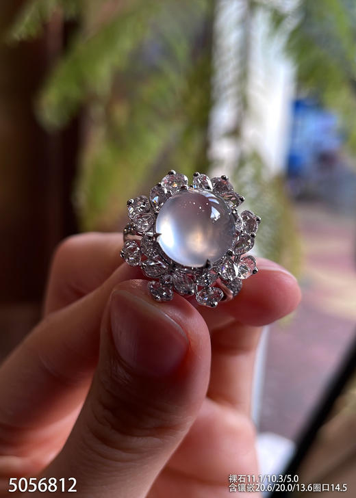 5056812，蛋面戒指。具体价格微信咨询 商品图0