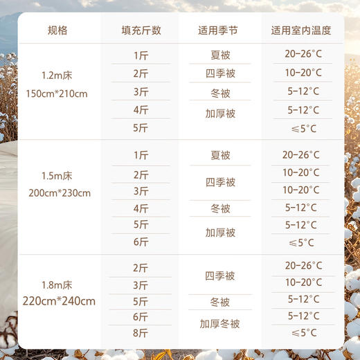 水星家纺纯棉被芯 商品图3