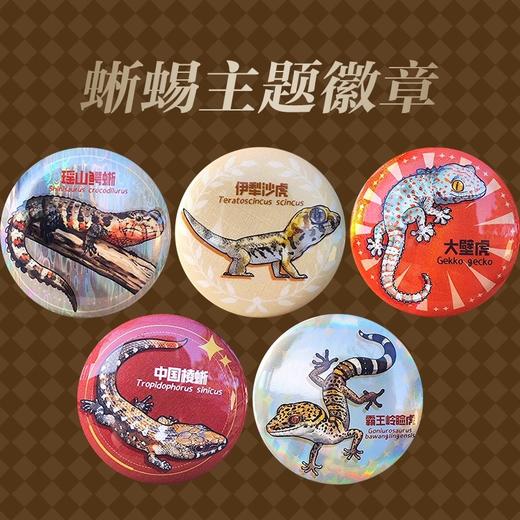 中国蜥蜴主题徽章 爬宠爬虫文创 卡通周边 海峡书局 顽主驿【官方正版 48小时发货】 商品图1