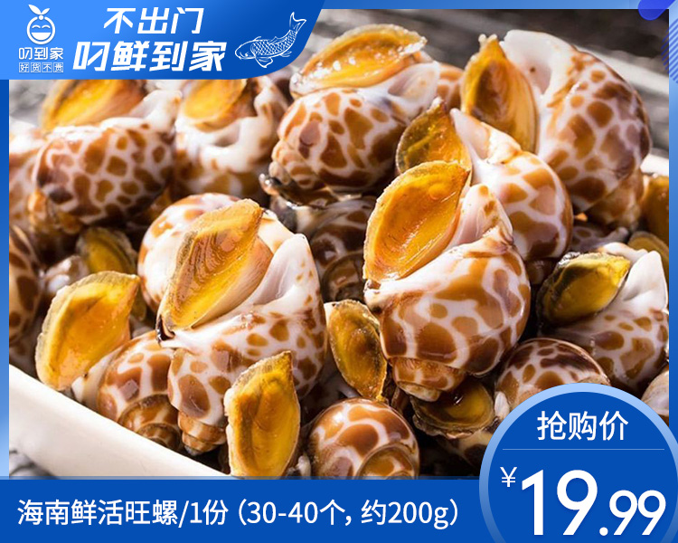 海南鲜活旺螺/1份（30-40个，约200g）