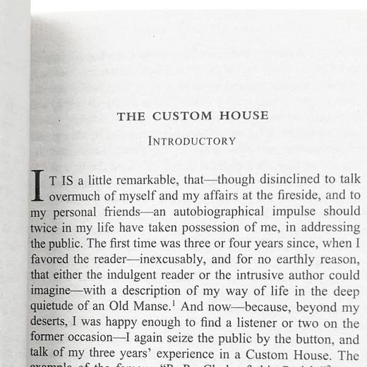 红字 英文原版小说 The Scarlet Letter 美国文学经典名著 诺贝尔文学奖作者霍桑 英文版 进口原版英文书 现货正版书籍 商品图2