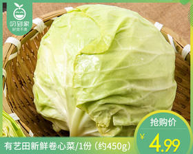 有艺田新鲜卷心菜/1份（约450g）