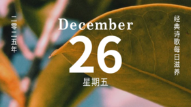 今天的天气真好呀！