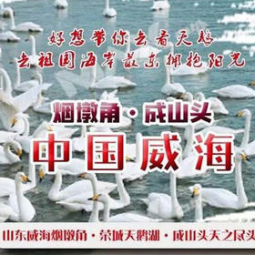 元旦3天【威海青州】网红威海の一半浪漫一半山海-与天鹅共舞-漫步青州古城